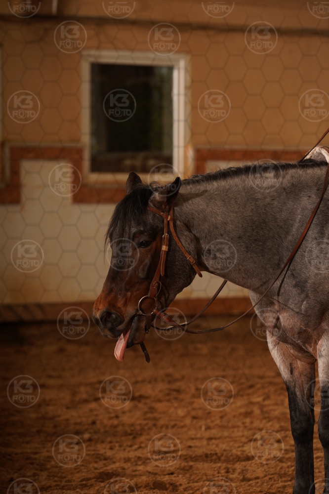 s_A9_01859.jpg